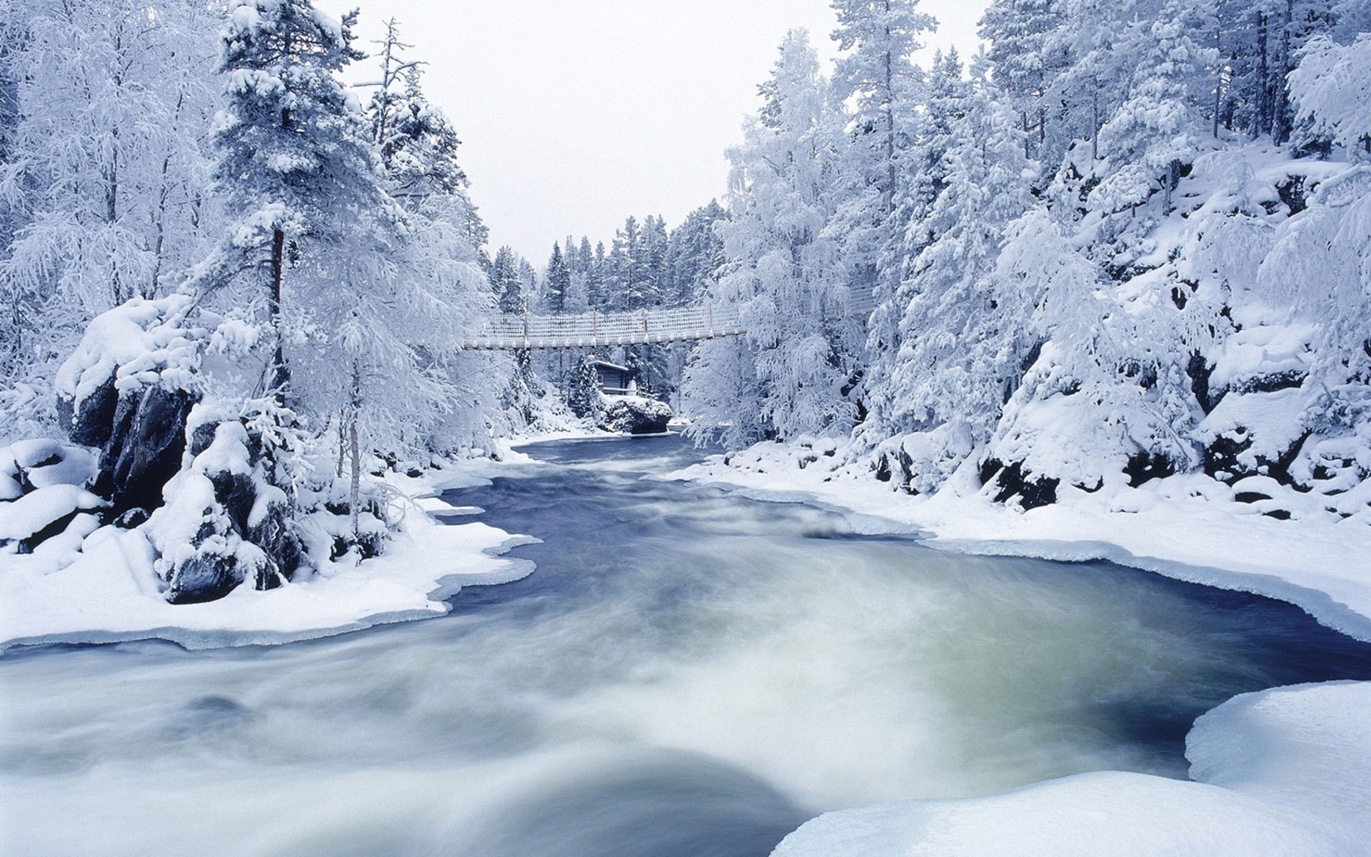 christmas snow winter ice cold mountain frozen landscape scenic frost frosty wood glacier