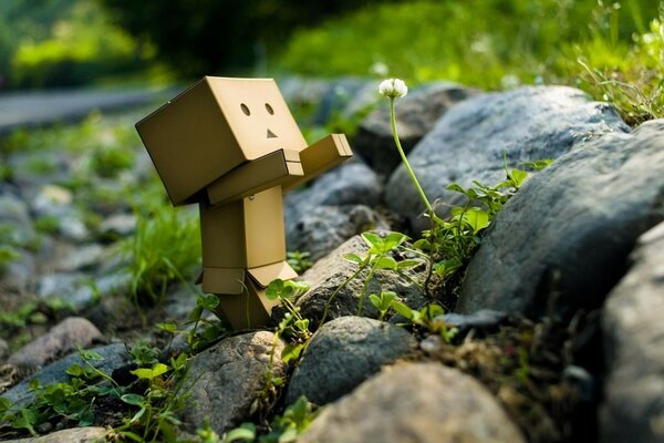 A robot made of cardboard boxes among large stones with moss