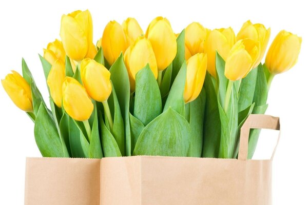 Spring tulips in a paper bag