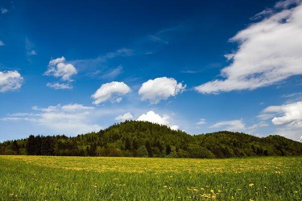 Letnie niebo nad zieloną równiną