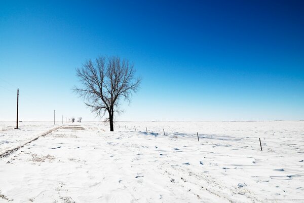 Paesaggio della natura invernale fredda nella neve