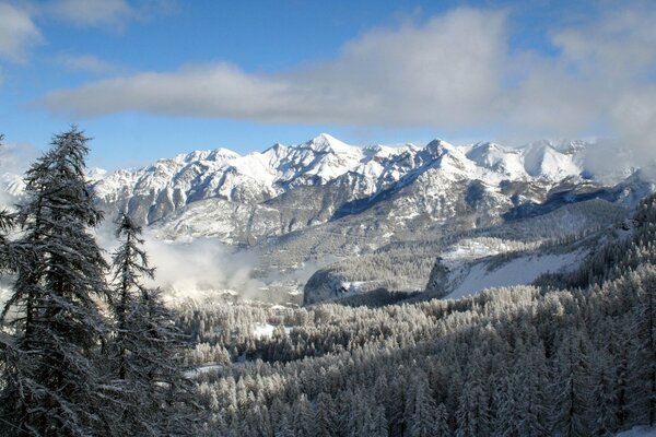 Montagnes d hiver dans la neige, parmi les arbres