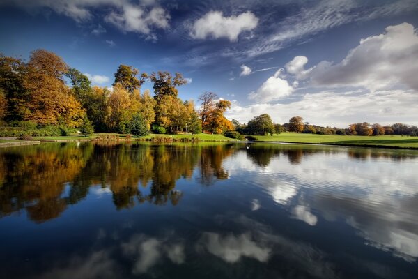 Reflejo del bosque en un lago tranquilo