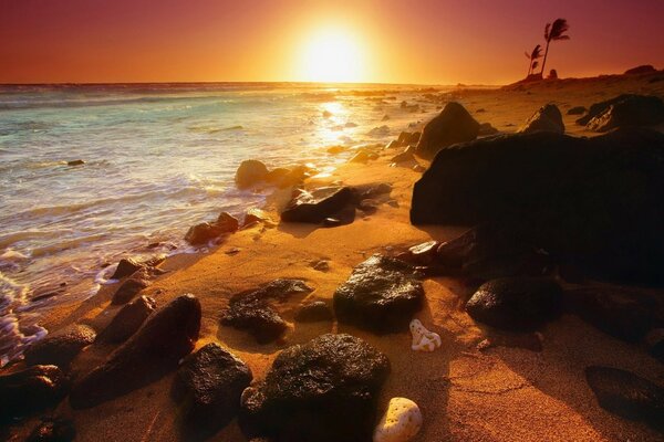 Plage d été avec de l eau au coucher du soleil et l aube