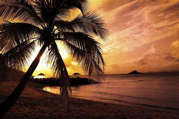 Evening ocean. Tropical nature