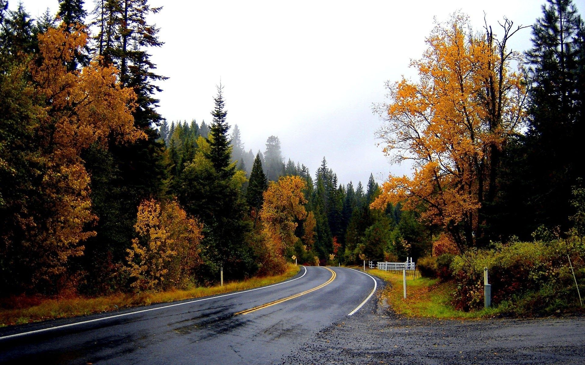 straße herbst holz holz blatt landschaft führung natur im freien landschaftlich landschaftlich landschaft asphalt park gasse reisen perspektive autobahn