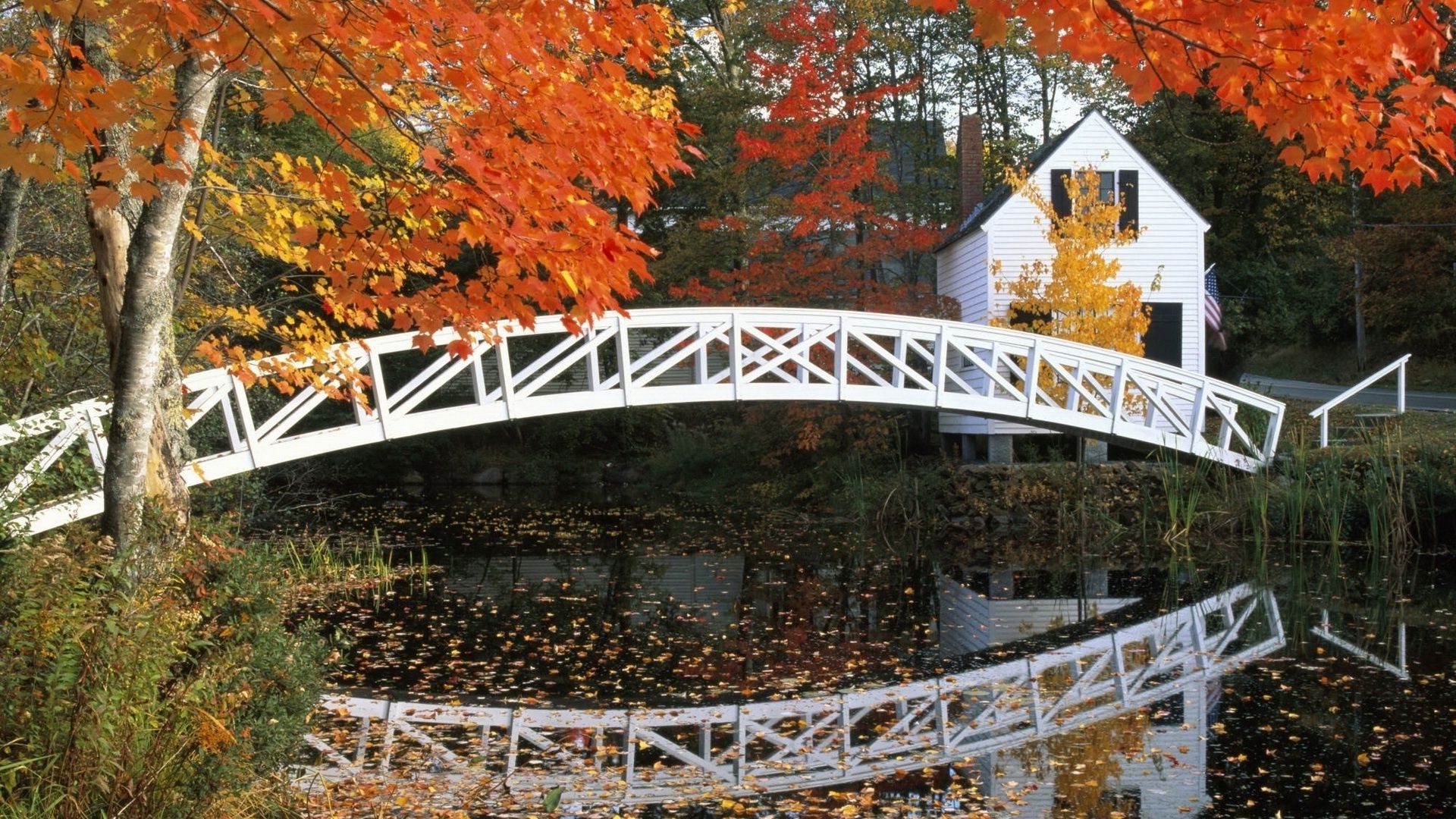 flüsse teiche und bäche teiche und bäche herbst holz im freien holz blatt park reisen landschaft brücke architektur