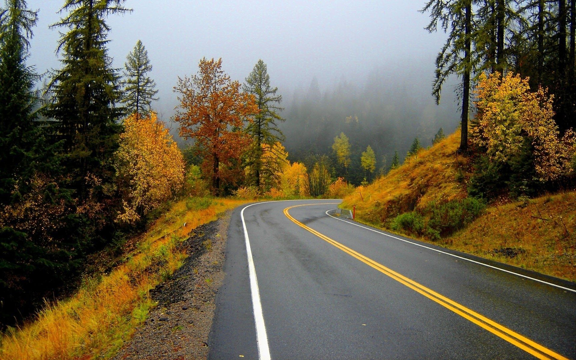 herbst straße herbst im freien holz führung holz natur landschaft blatt asphalt reisen autobahn landschaft landschaftlich landschaftlich