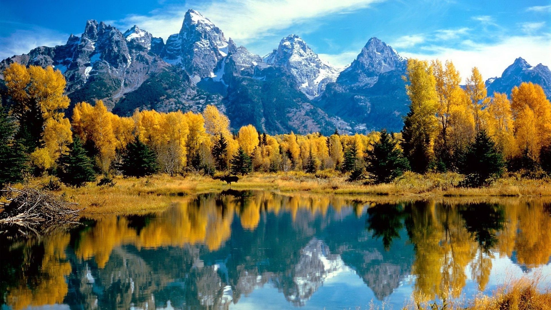 montagnes lac scénique bois paysage montagnes neige eau à l extérieur bois nature conifères réflexion ciel automne lumière du jour evergreen