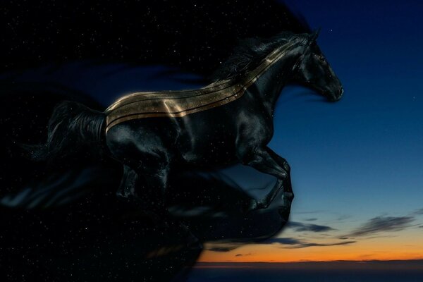 A black horse in motion at sunset