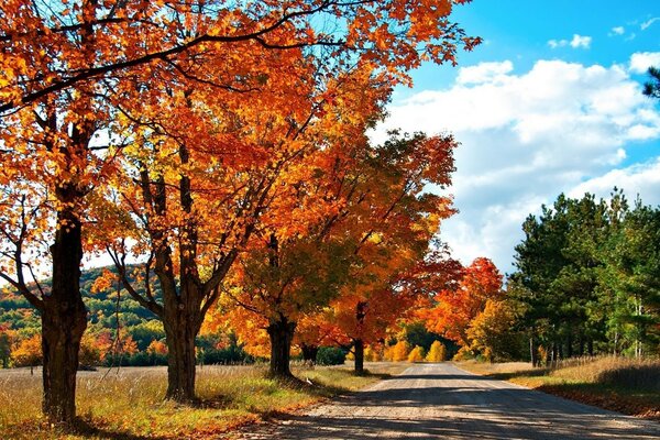 Camino rural en otoño con nubes