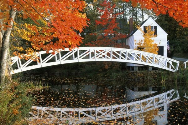 A house with a bridge over a pond in autumn