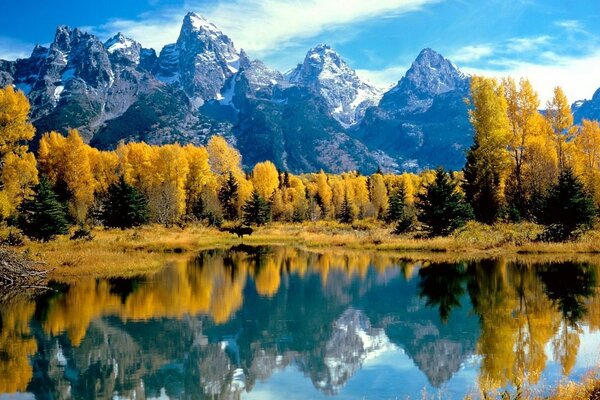 Paisaje de montaña. Los árboles amarillos se reflejan en el lago