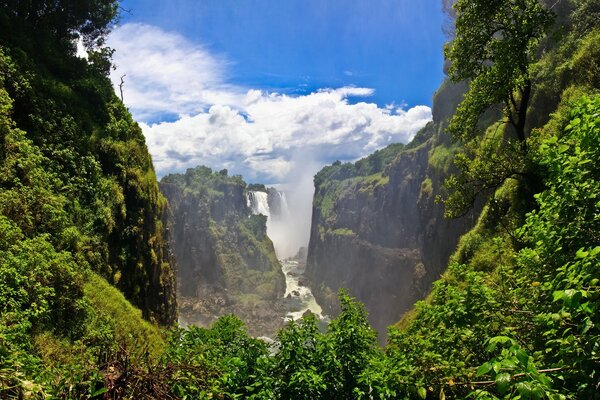 Vue sur la gorge verte avec des cascades