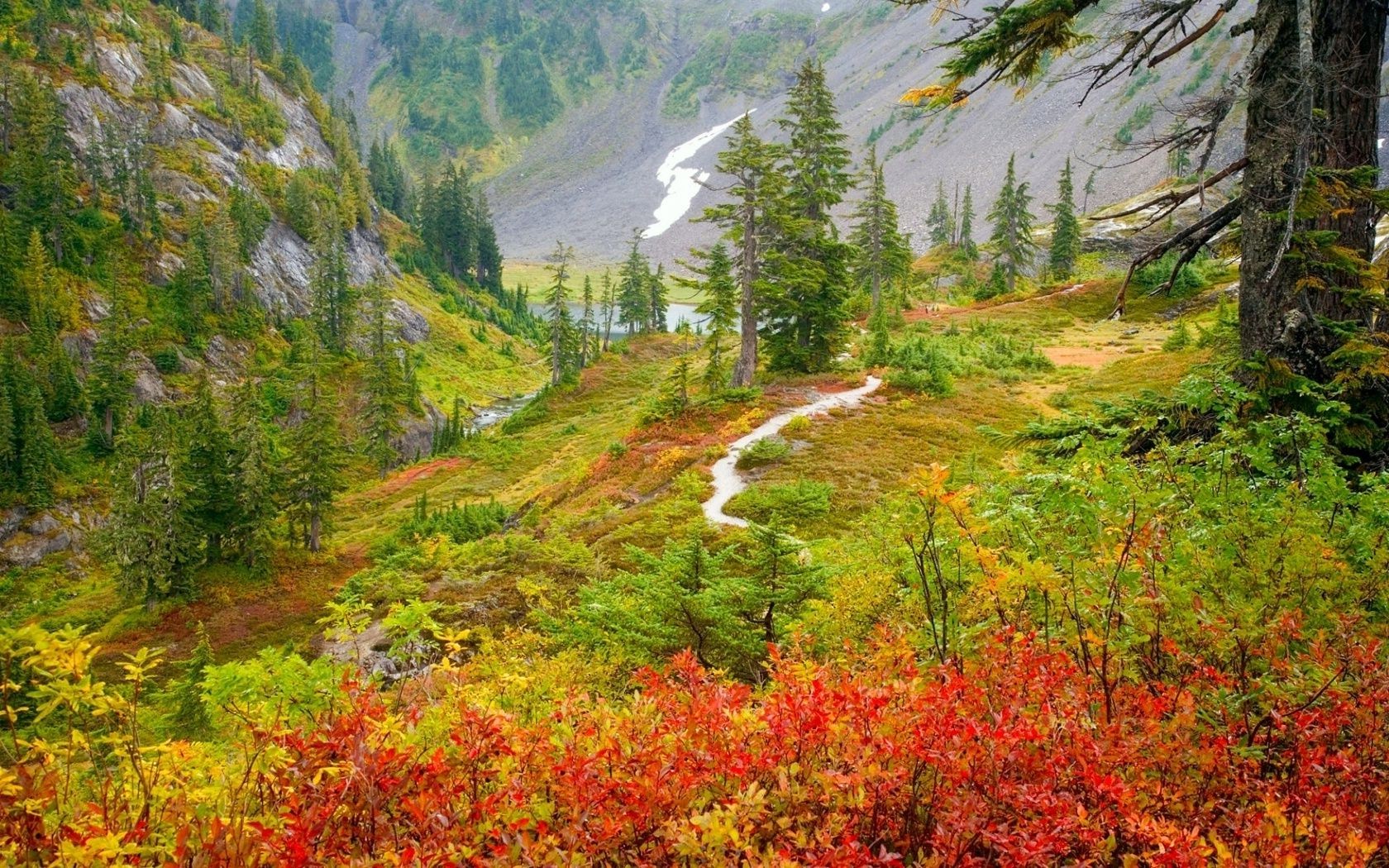 rivières étangs et ruisseaux étangs et ruisseaux automne bois nature paysage feuille arbre scénique montagnes à l extérieur saison voyage paysages parc eau sauvage rivière environnement couleur scène