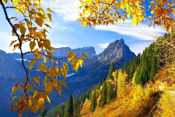 Hojas de otoño en el fondo de las montañas