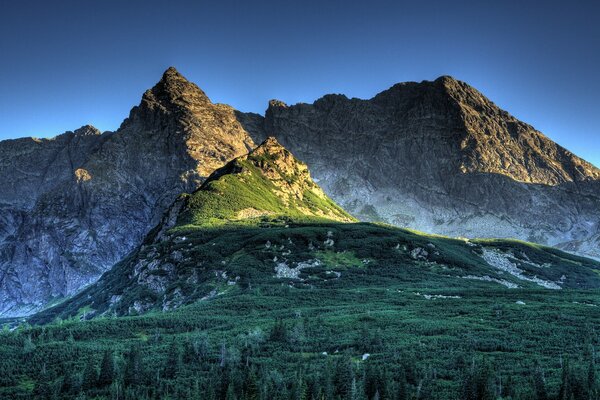 Paisaje de montaña . Hermosa naturaleza