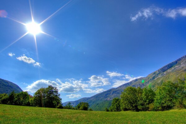 Bella foto di erba verde su uno sfondo di cielo blu