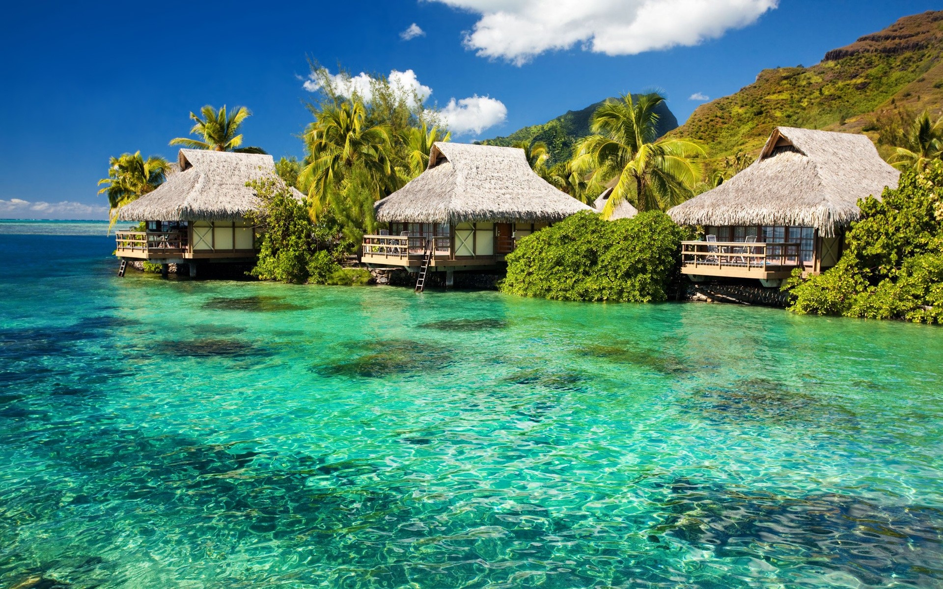 landschaft tropisch insel wasser exotisch ozean paradies resort urlaub reisen bungalow palmen sommer strand hotel hütte meer idylle türkis lagune luxus meer sonne himmel