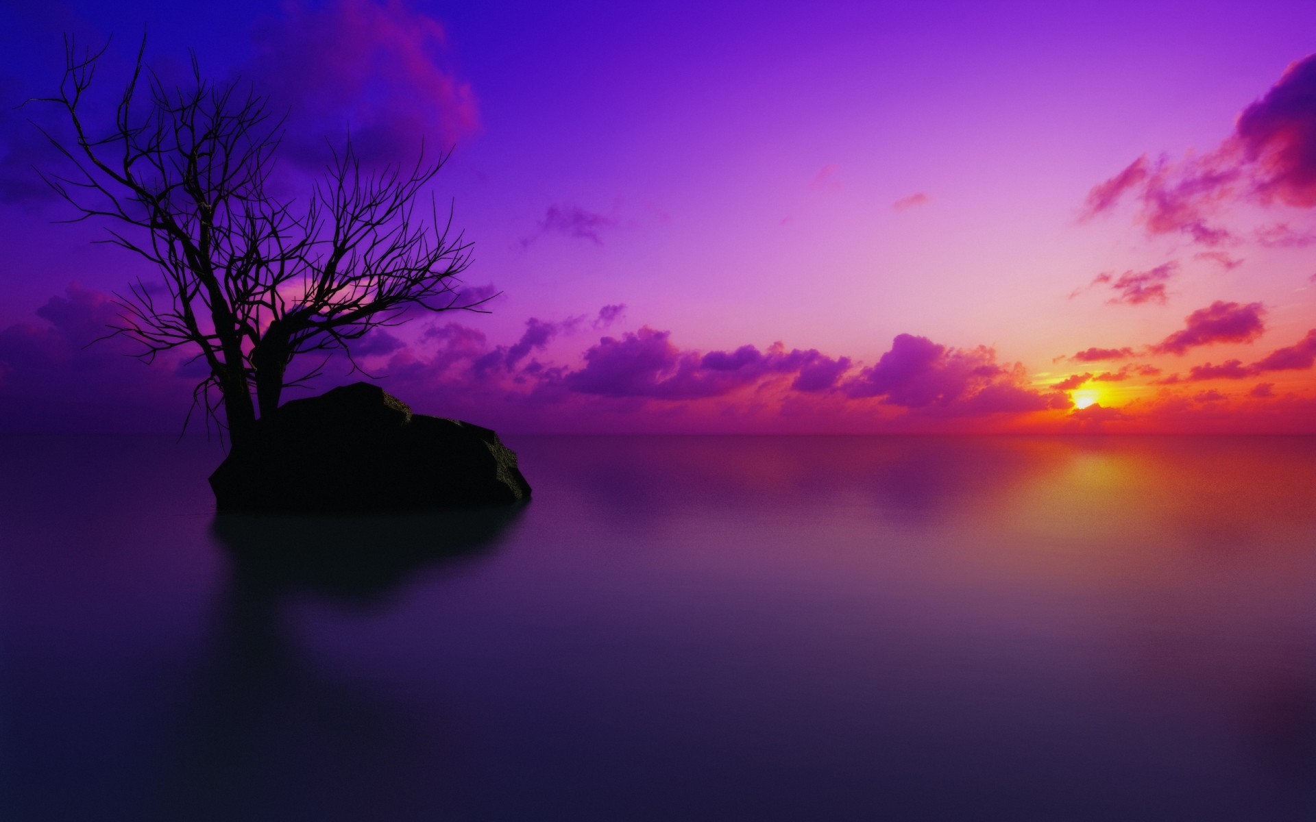 fantasy sunset silhouette dawn evening dusk sun sky landscape backlit light nature tree moon cloud color desktop weather 3d digital art water