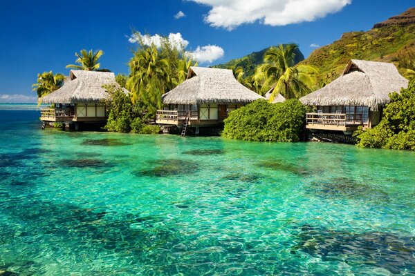 Tropical island with crystal clear water