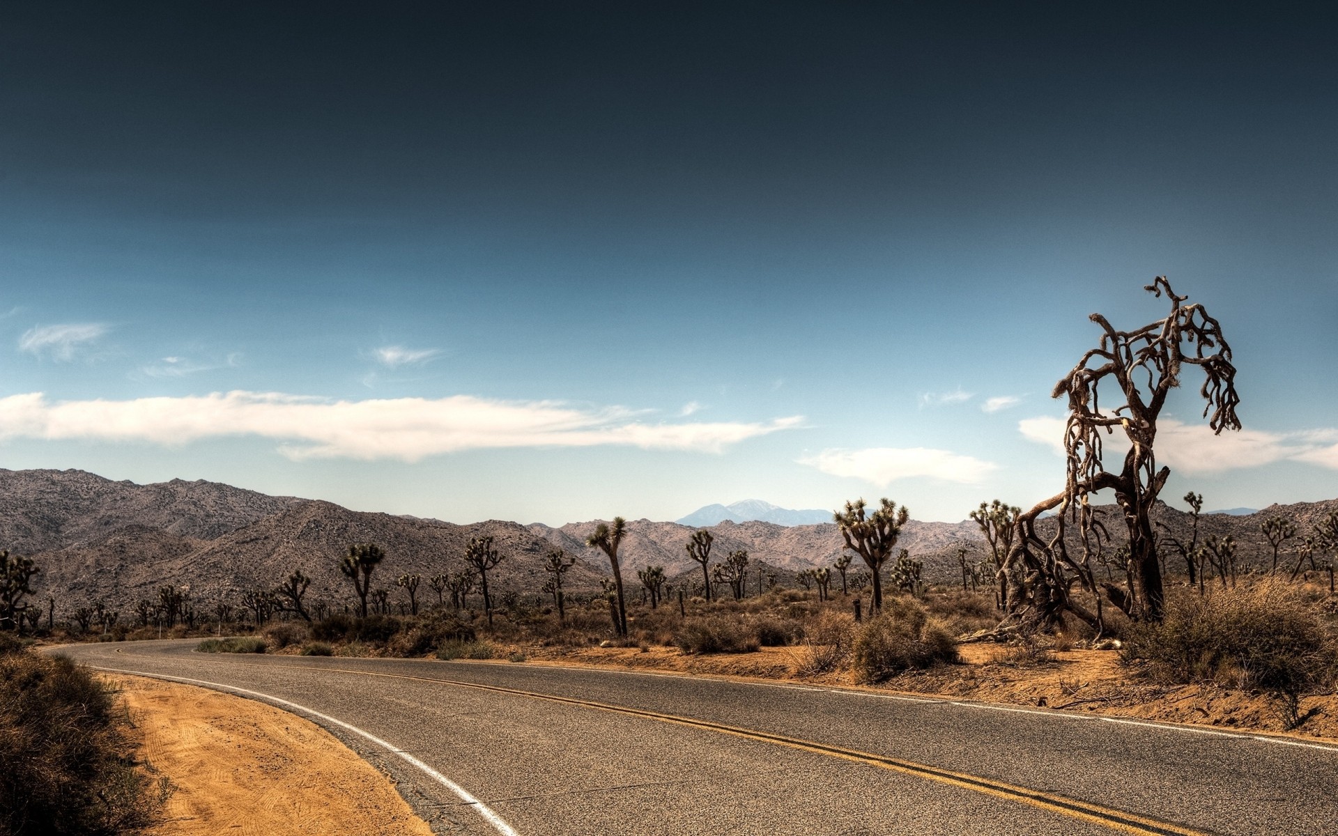 landscapes desert landscape road travel sky tree nature dry outdoors barren mountain sunset arid roads mountains clouds