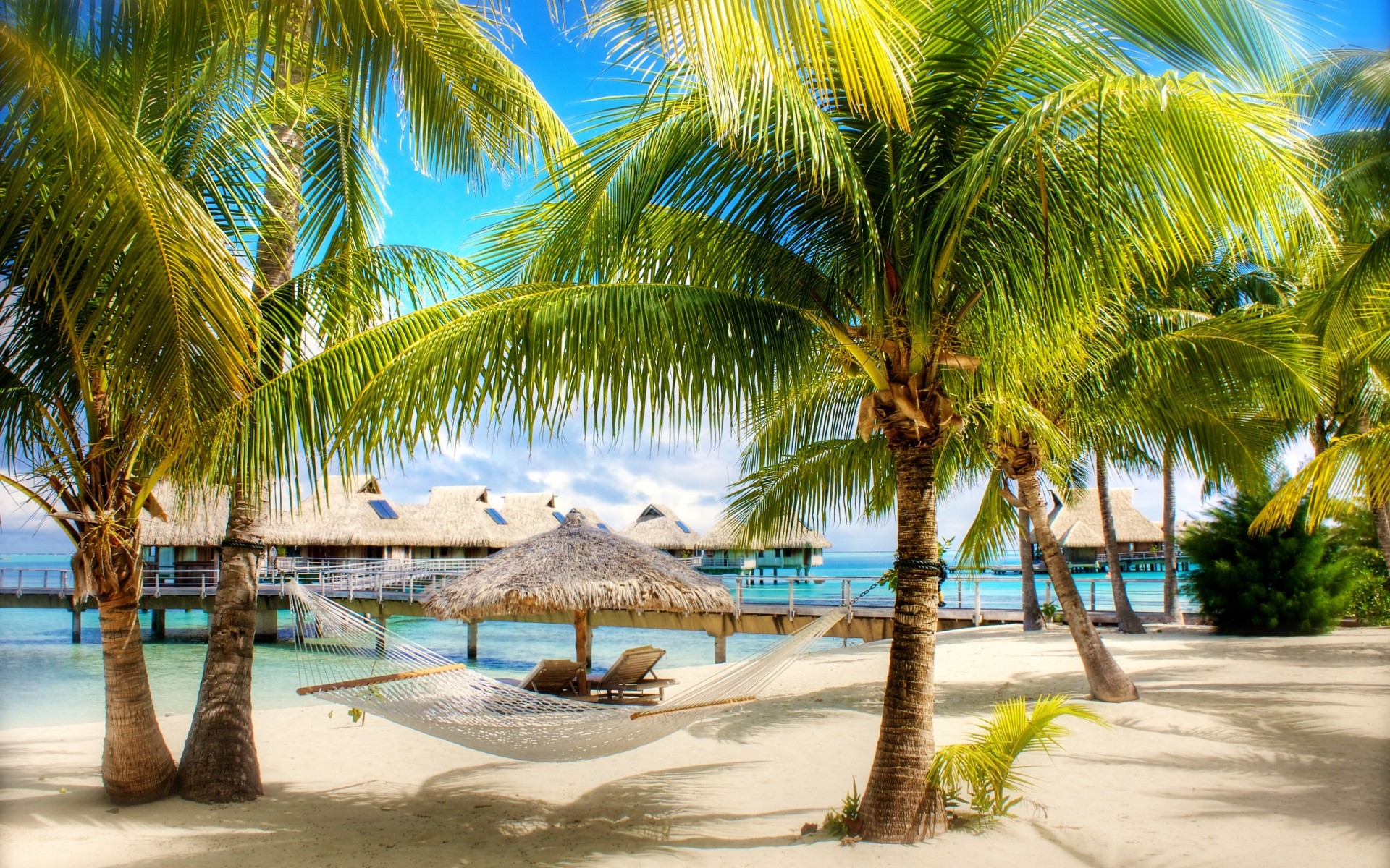 landschaft strand tropisch sand palmen meer ozean sommer reisen exotisch resort urlaub paradies insel sonne entspannung wasser idylle kokosnuss landschaft gutes wetter meer hängematte hamock landcsape preise