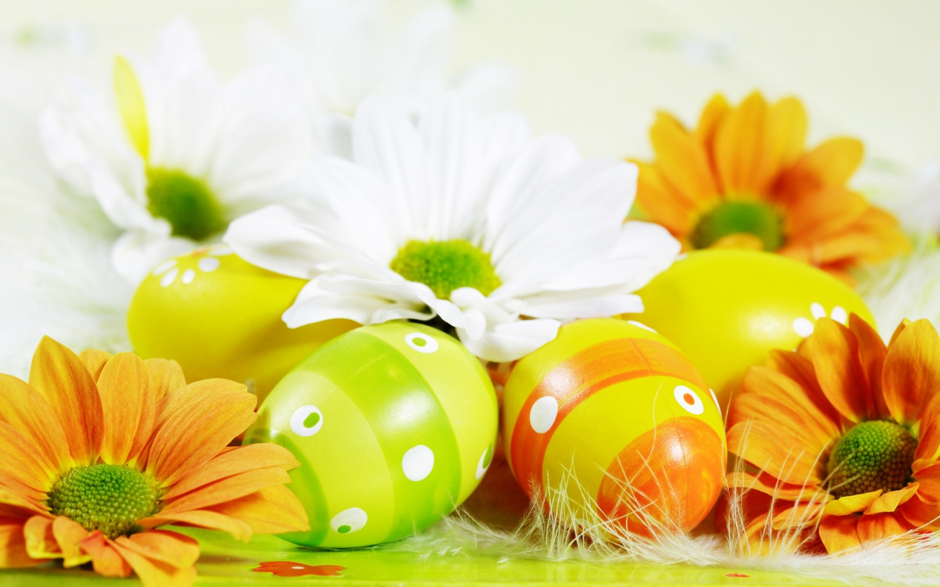 easter nature leaf flower summer bright health egg flowers yellow colours holiday vacation