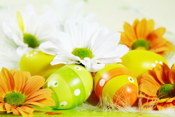 Beautiful composition with Easter eggs and flowers