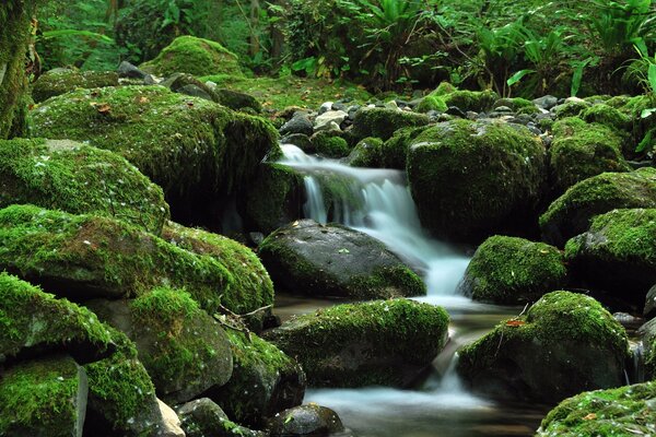 Paisajes de montaña de musgo verde y agua azul