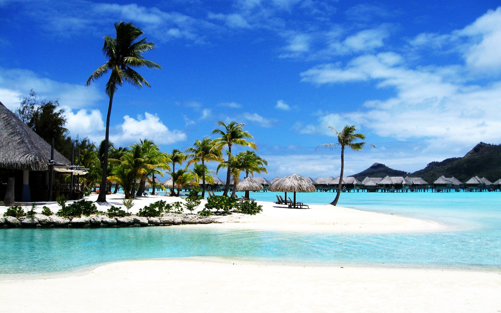 paysage tropical plage palm exotique sable île station balnéaire idyllique mer paradis océan turquoise détente voyage eau vacances paysage lagon noix de coco baie paysage paysage bora