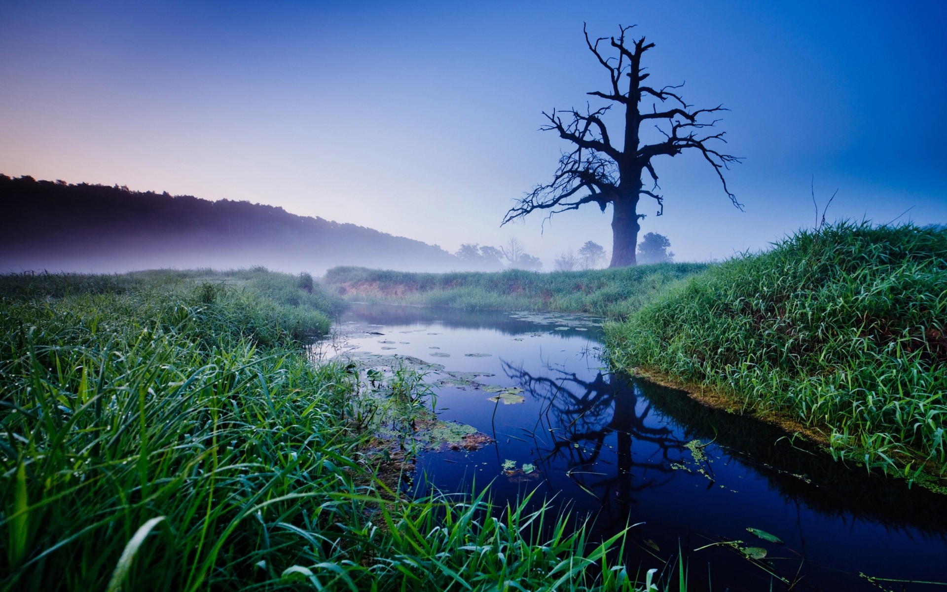 landscapes landscape nature water tree sky grass lake wood outdoors travel scenic beautiful summer flora sight dawn environment river green sunrise trees