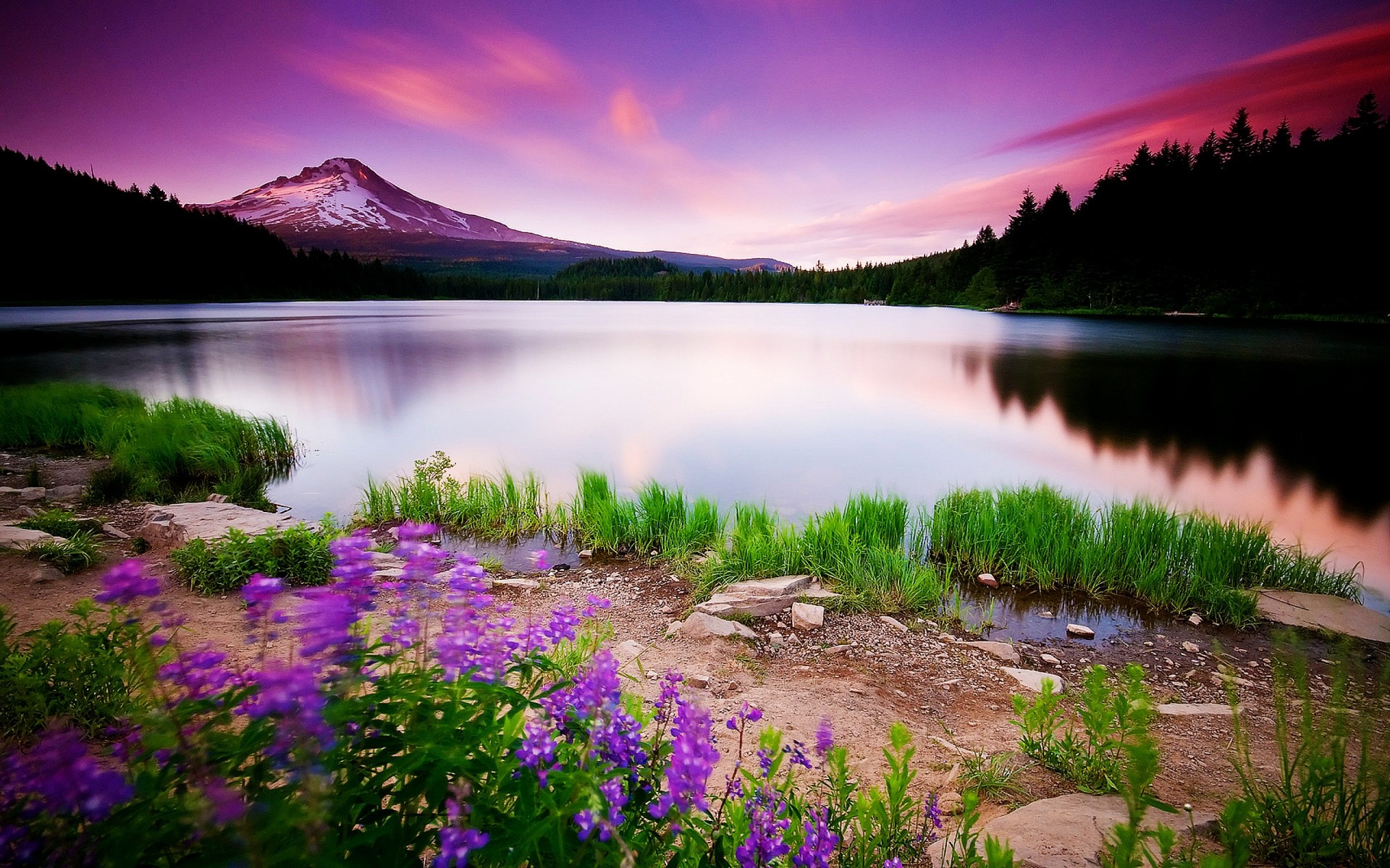 paisaje agua naturaleza lago al aire libre paisaje puesta de sol viajes cielo amanecer verano río reflexión hierba árboles bosque drch