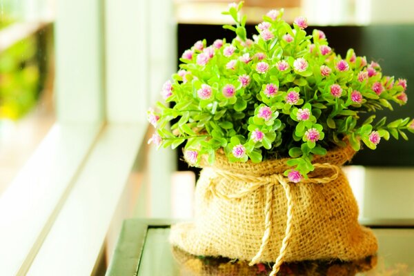 A rag pot with flowers