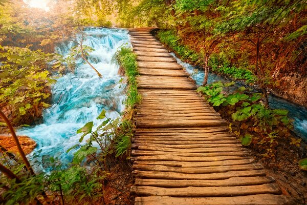 Landschaft der Brücke über dem Fluss im Wald