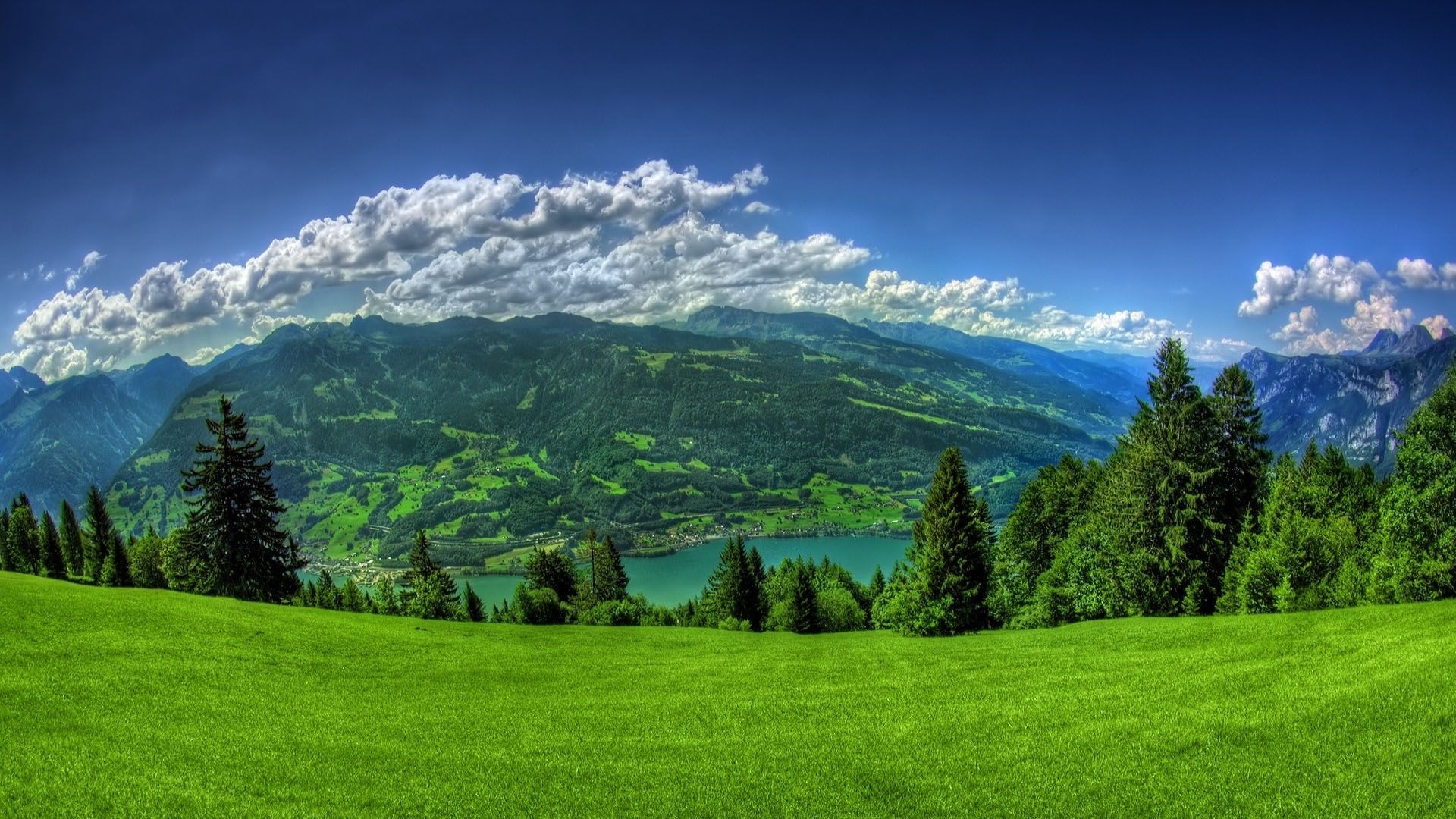 mountains landscape grass nature hayfield tree wood sky hill mountain outdoors rural summer fair weather countryside grassland cloud scenic field travel