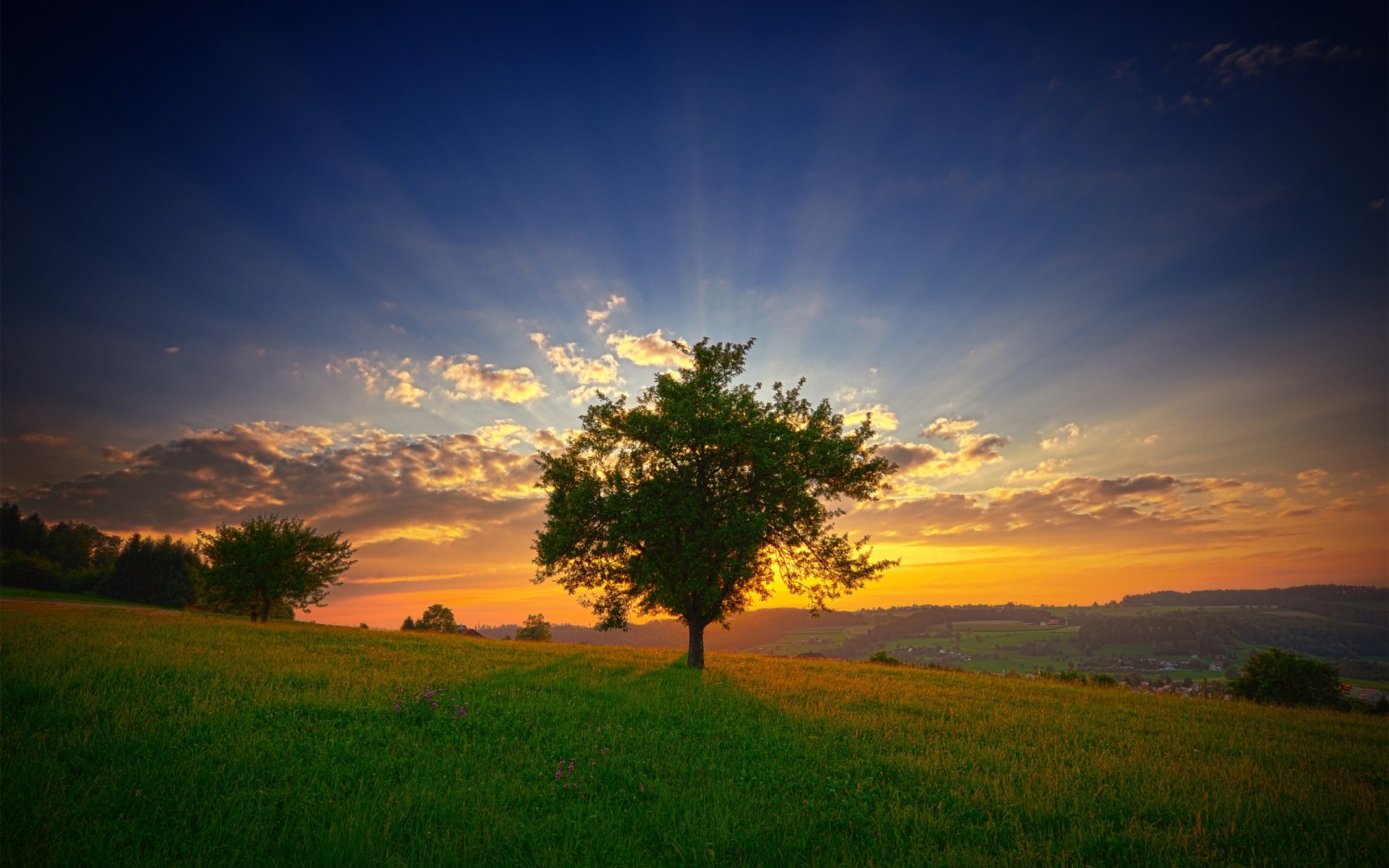 landscapes sunset dawn sun evening landscape sky tree nature dusk fair weather outdoors grass countryside light backlit field gree