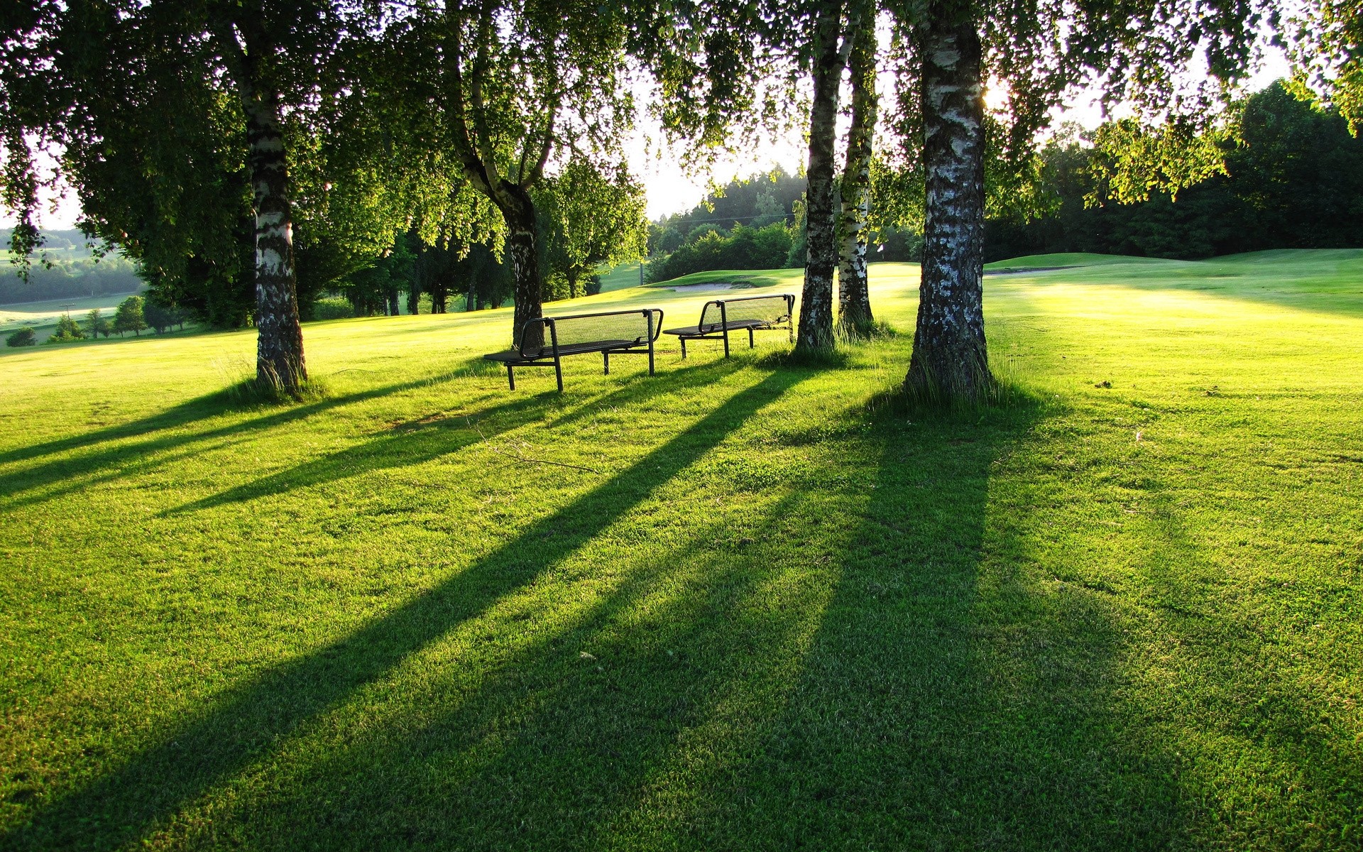 landscapes grass landscape tree lawn nature park summer hayfield golf rural scenic wood fair weather country environment sun leaf sight season trees sunny day hill spring