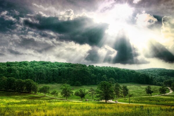 L alba dell impero nella foresta