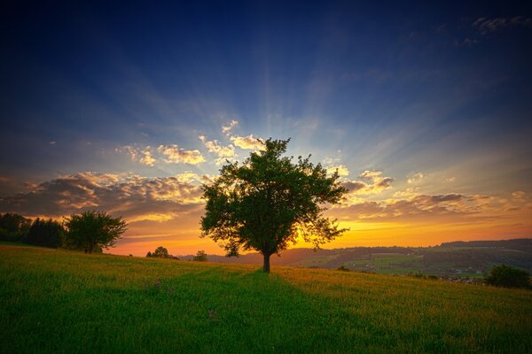 Abend Sonnenuntergang im Feld