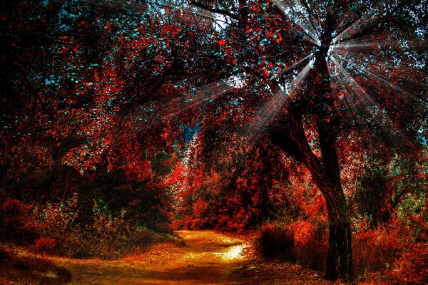 Die Magie des Herbstes in den letzten Sonnenstrahlen