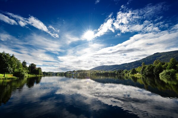 A cloudless day by the forest river