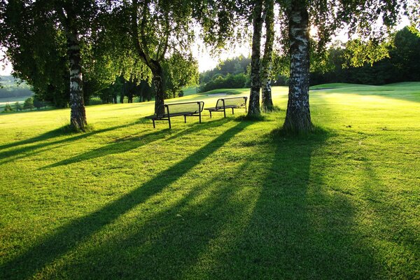 Birkenhain. sommerpark mit Bänken