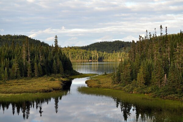 Long lac forestier par temps clair