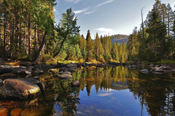 Schöne Natur Wasserlandschaft