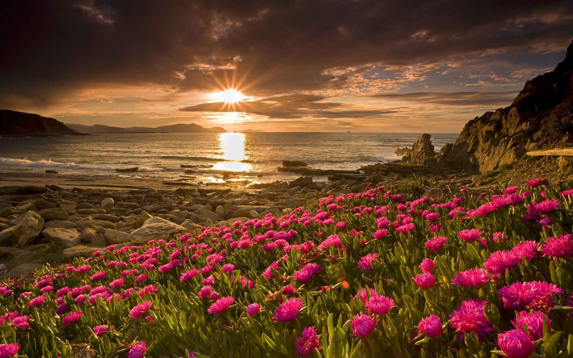 paysage nature coucher de soleil eau paysage fleur aube mer plage voyage ciel dehors soleil mer été océan crépuscule soir pierres fond