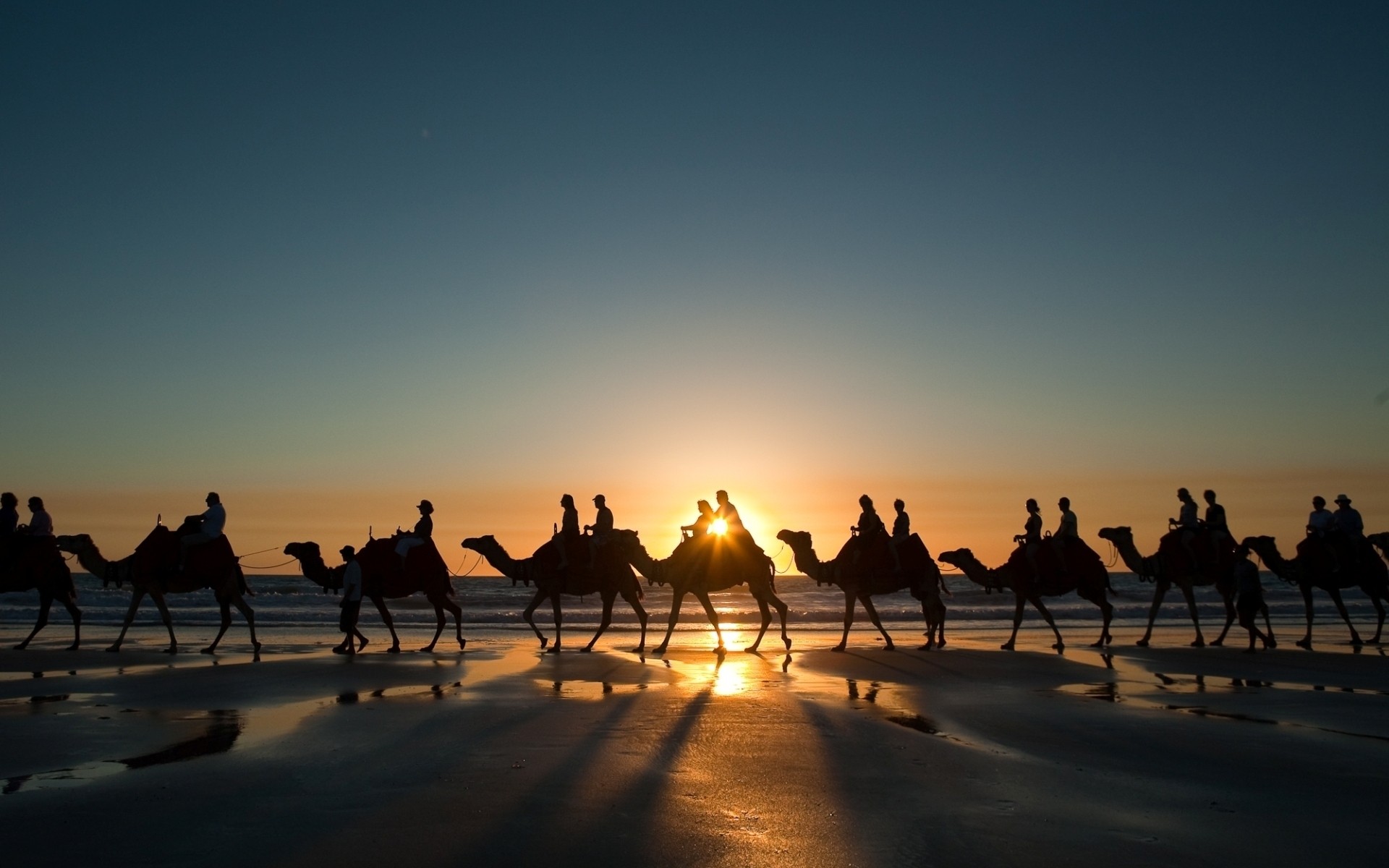 animaux coucher de soleil silhouette aube voyage crépuscule soir rétro-éclairé soleil ciel à l extérieur groupe eau désert photo