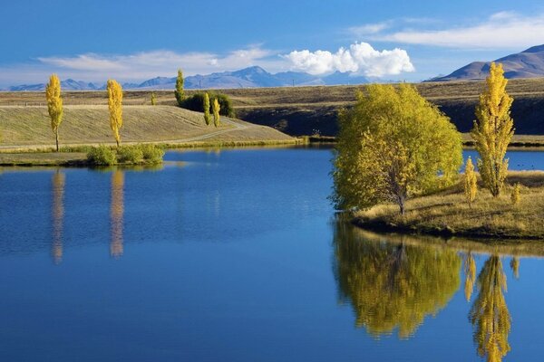 Paisagem baía ilha árvores