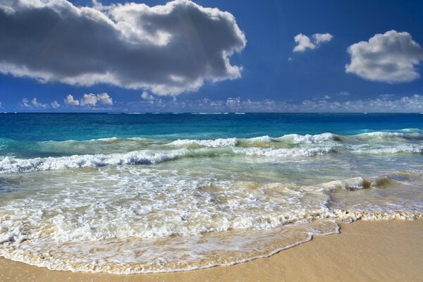 Paysage marin. vagues sur la plage