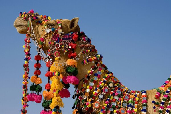 Animal Festival traditional decorations